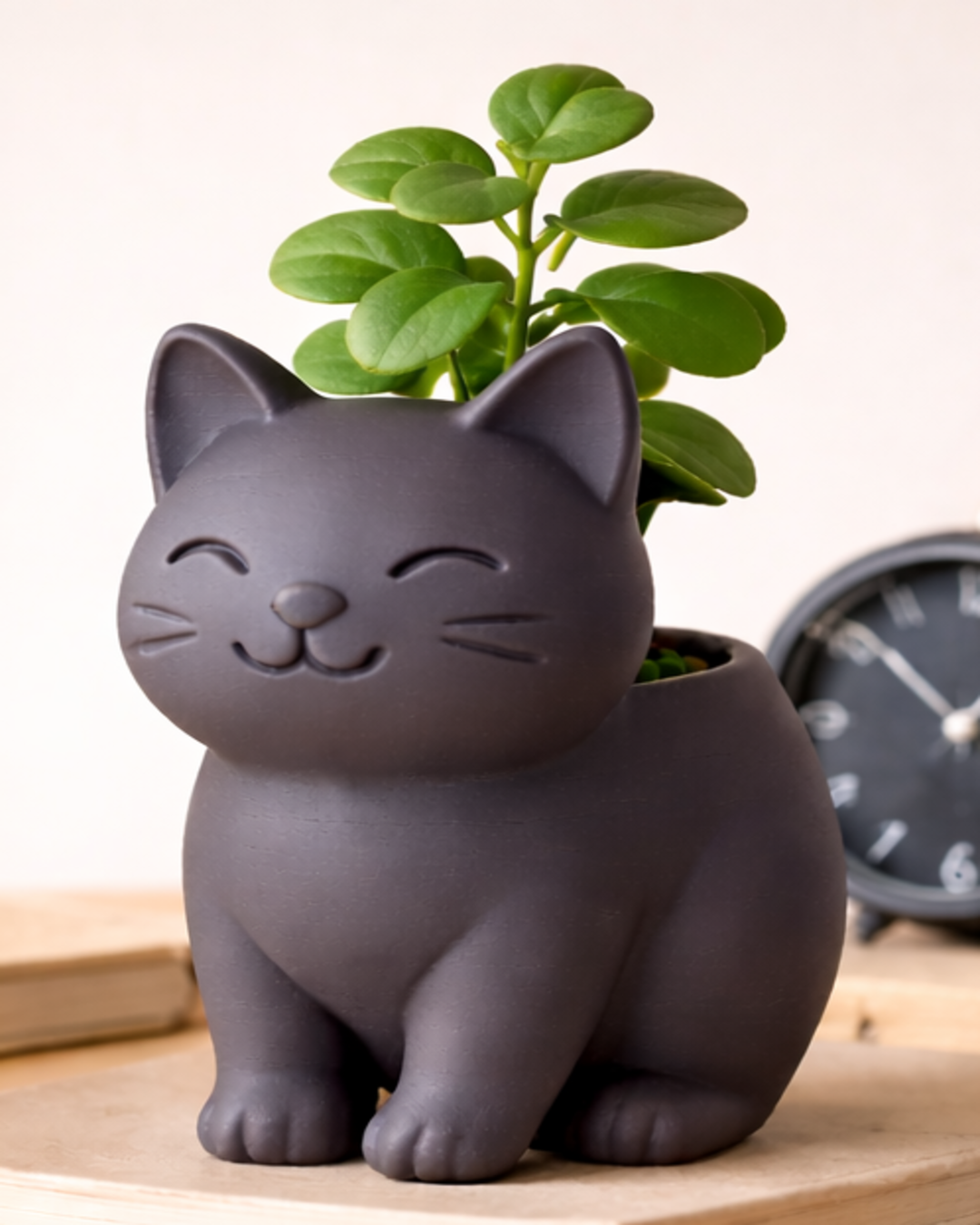 Planter Cat